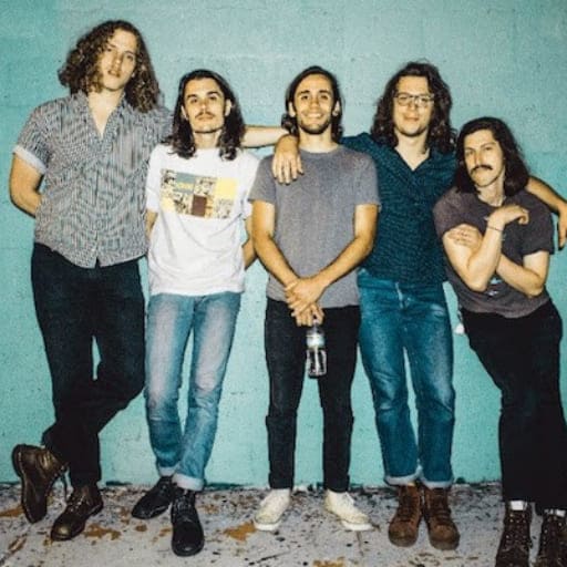 Post Animal Concerts in Indianapolis